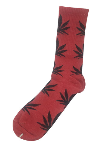 Glee Series Black Leaf Pink Socks