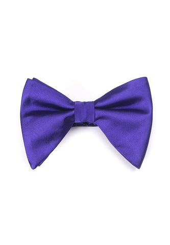 Farfalla Series Purple Bow Tie