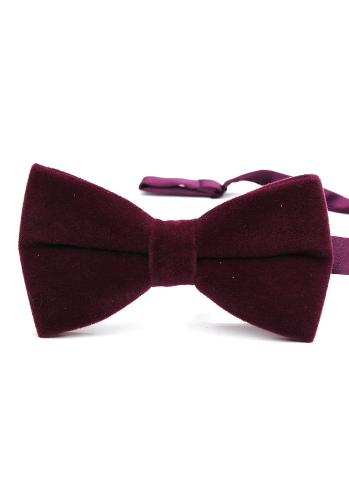 Suede Series Plum Purple Velvet Bow Tie