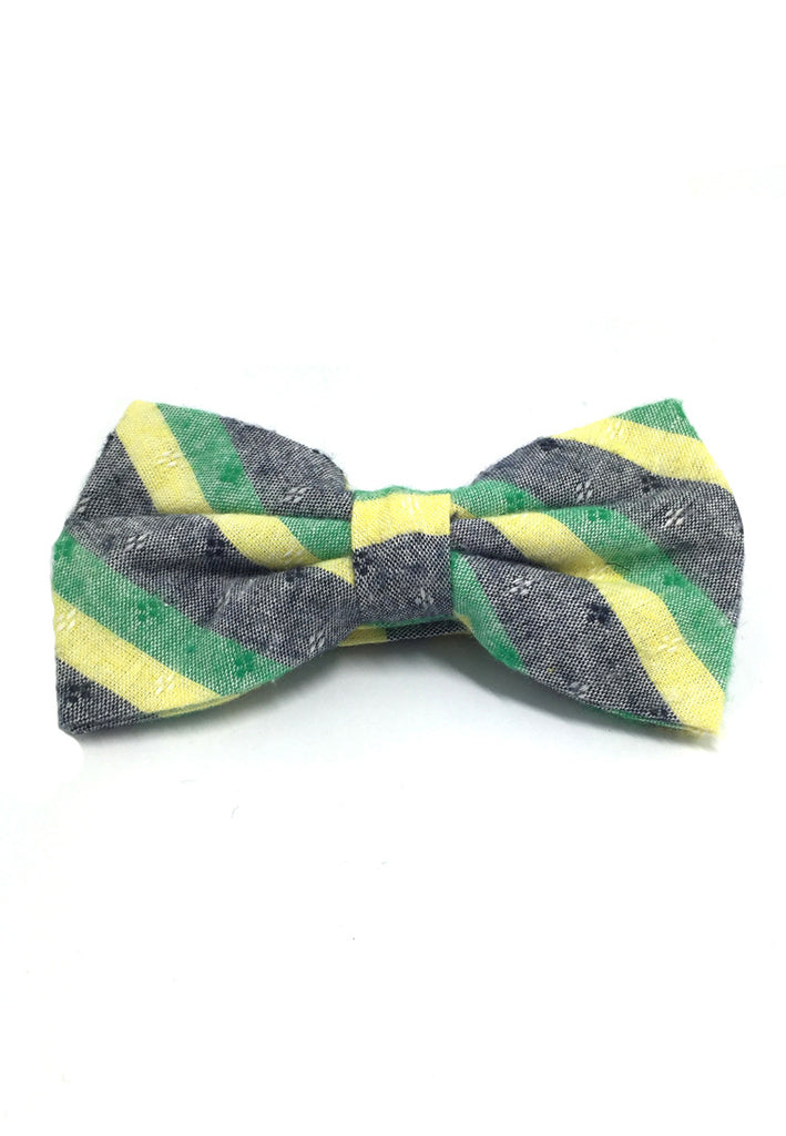 Probe Series Green, Blue and Yellow Striped Pattern Design Cotton Pre-tied Bow Tie