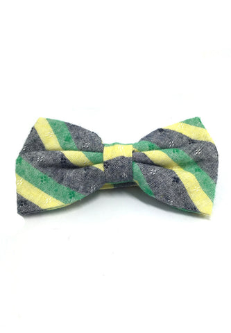 Probe Series Green, Blue and Yellow Striped Pattern Design Cotton Pre-tied Bow Tie